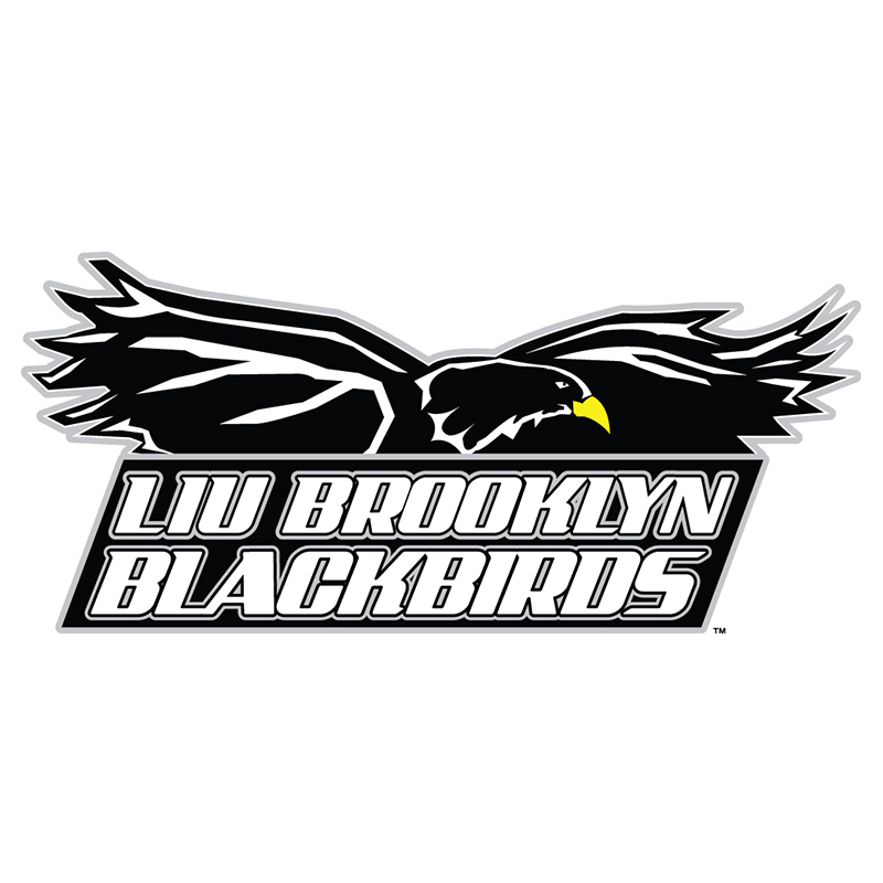 LIU-Brooklyn Blackbirds iron ons